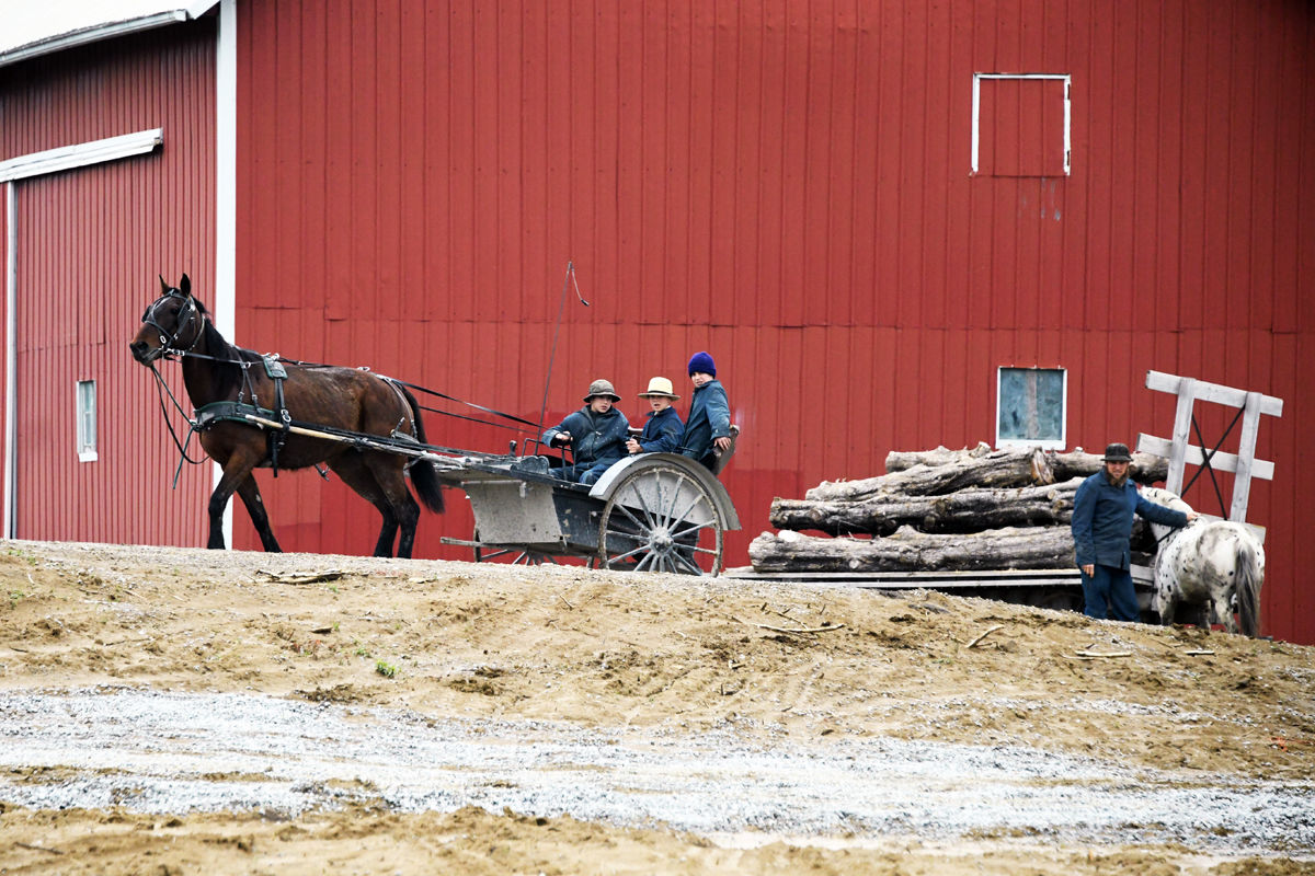 113 Amish family at work in the Kalona area.JPG